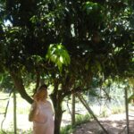 IMG-20250605-WA0029