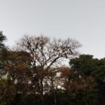 IMG-20250605-WA0031