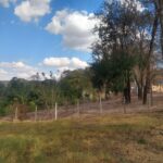 IMG-20250605-WA0036