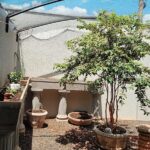 IMG-20251104-WA0054