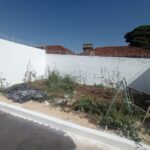 IMG-20250724-WA0212