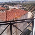 IMG-20230801-WA0011